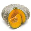 Pumpkin Jap