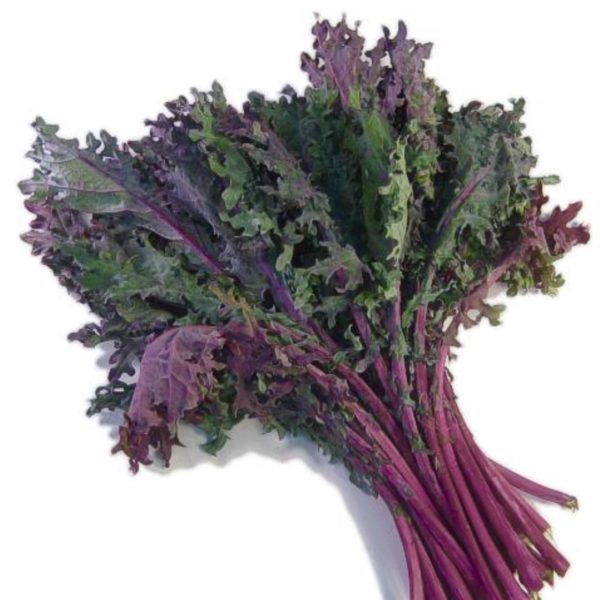 Kale - Red
