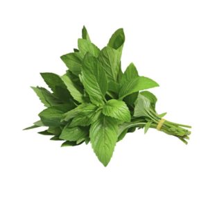 Herb - Mint