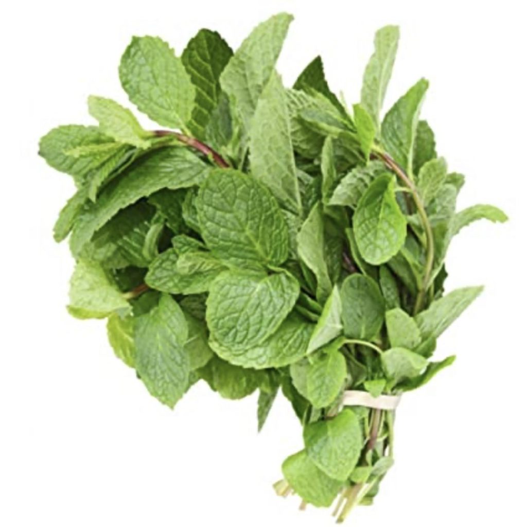 Herb Mint