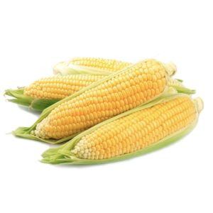 Corn Sweet - On The Cob