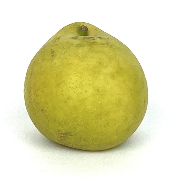 Pears - Nashi