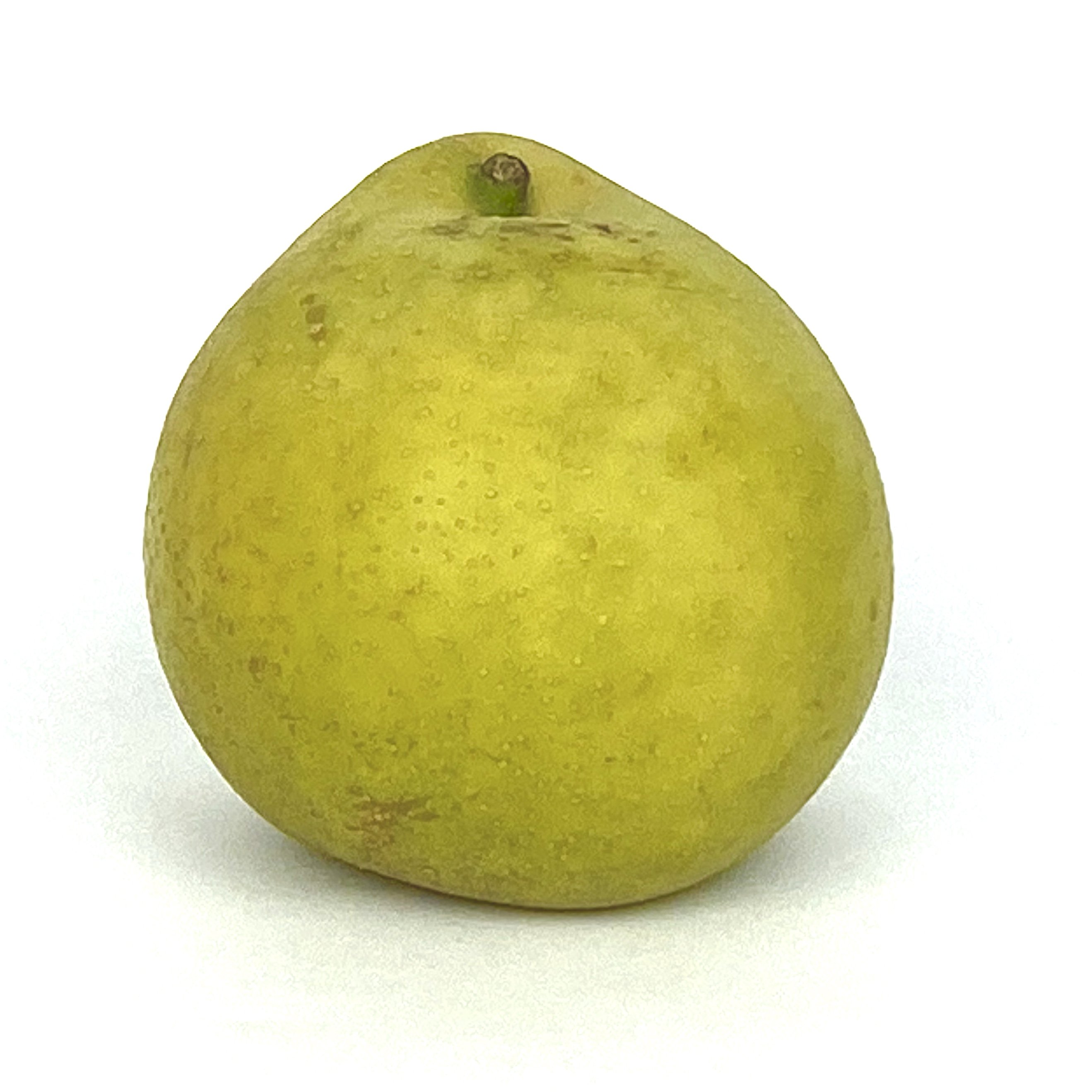 Pears Nashi