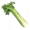 Celery