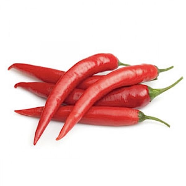 Chilli Red Long