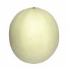 Melon Honeydew