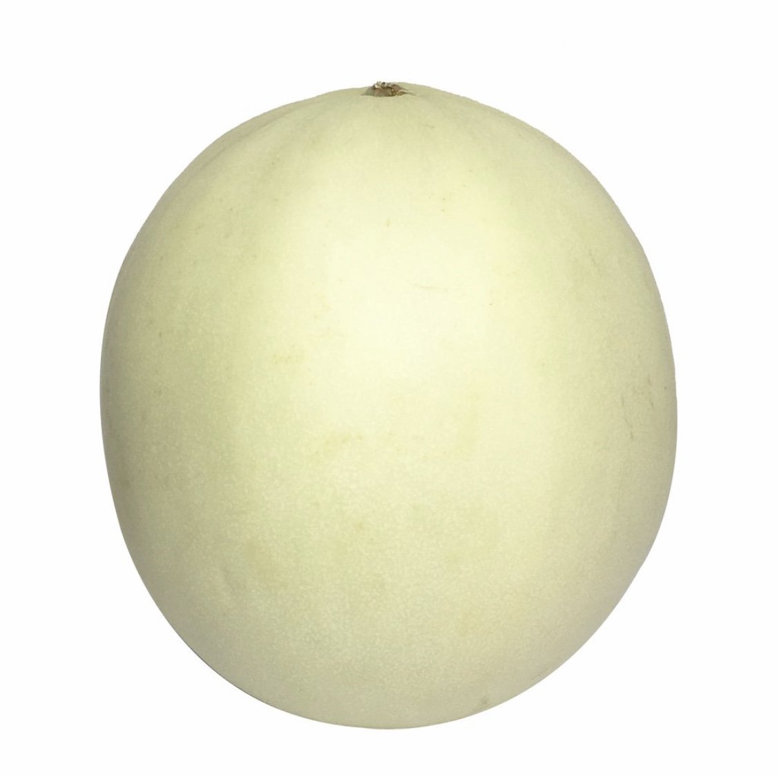 Melon Honeydew Biviano Direct