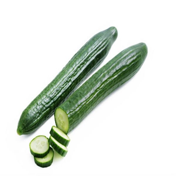 Cucumber - Continental (large)