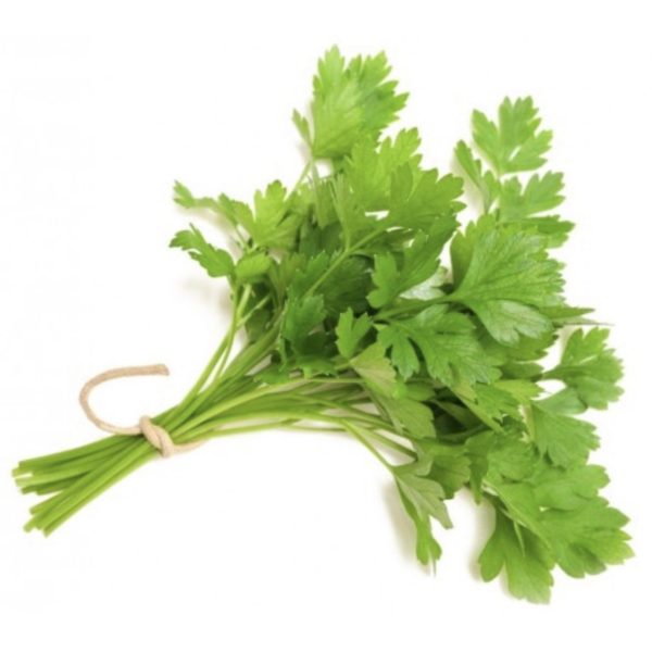 Herb - Parsley Continental/Flat Leaf