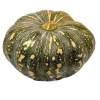 Pumpkin Jap