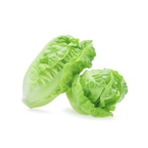 Lettuce Baby Cos Gems (twin pack)