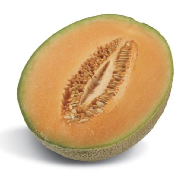 Melon Rockmelon