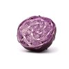 Cabbage Red