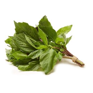 Herb - Basil THAI