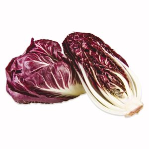 Lettuce - Treviso Radicchio long