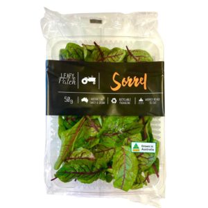 Herb - Sorrel - Red Vein Baby leaves - 50g punnet