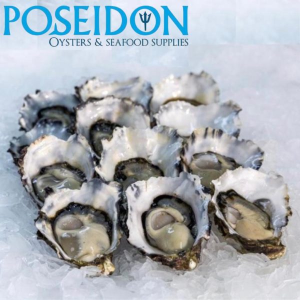 FRESH FISH - Pacific Oysters from Southern regions of Australia. **FRESH DAILY Shucked/Opened to order** (order by 11.59pm for next day delivery) 1/2 doz or 1 doz