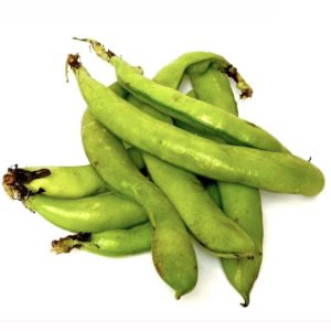 Broad Beans Faba Beans