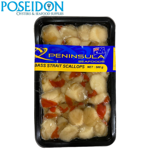 FRESH FISH - Scallops from Bass Strait. Snap Frozen 500g (order by 11.59pm for next day delivery)
