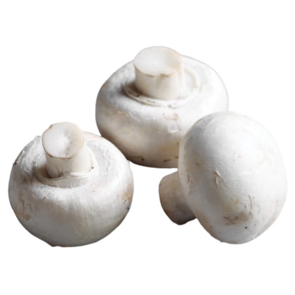Mushroom - Cups Premium cup sized  250g & 500g in paper bag