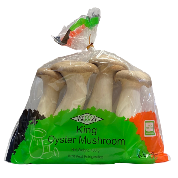 Mushroom - King Brown Oyster Mushroom Fresh