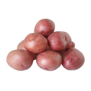 Potato - Desiree Red Mozart