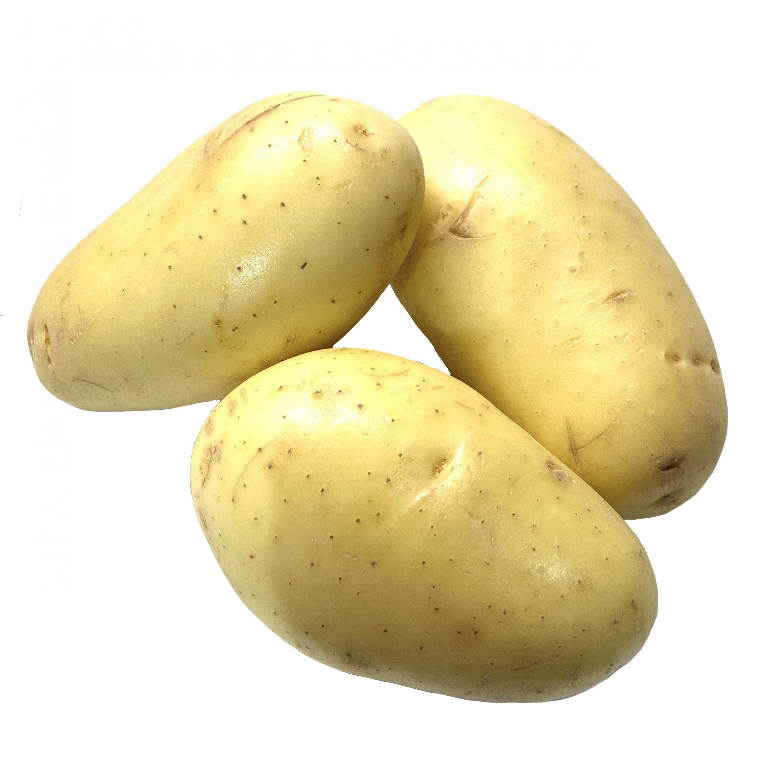 Potato - Carisma Low Carb.