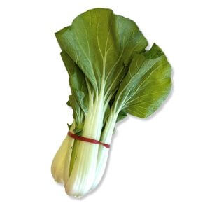 bok choy chinese cabbage