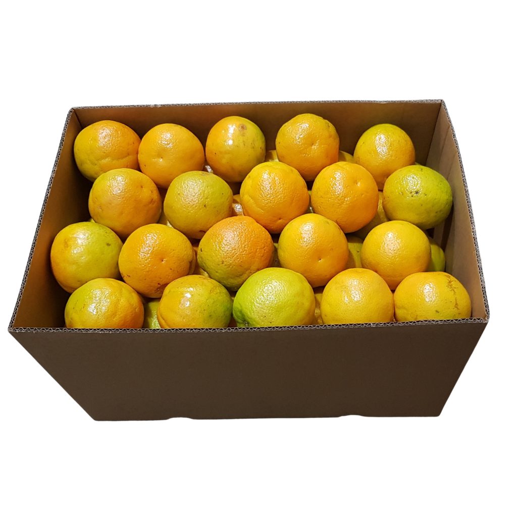 Oranges Juicing 100 Australian Oranges 15kg Box Biviano Direct