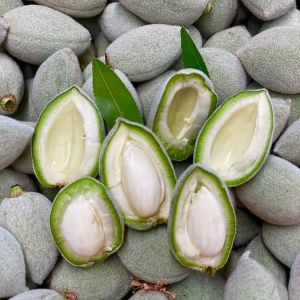 Green Almonds Fresh Picked