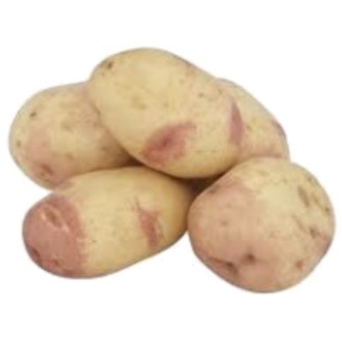 Potato - King Edward washed