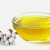 Cottonseed Oil 20l drum
