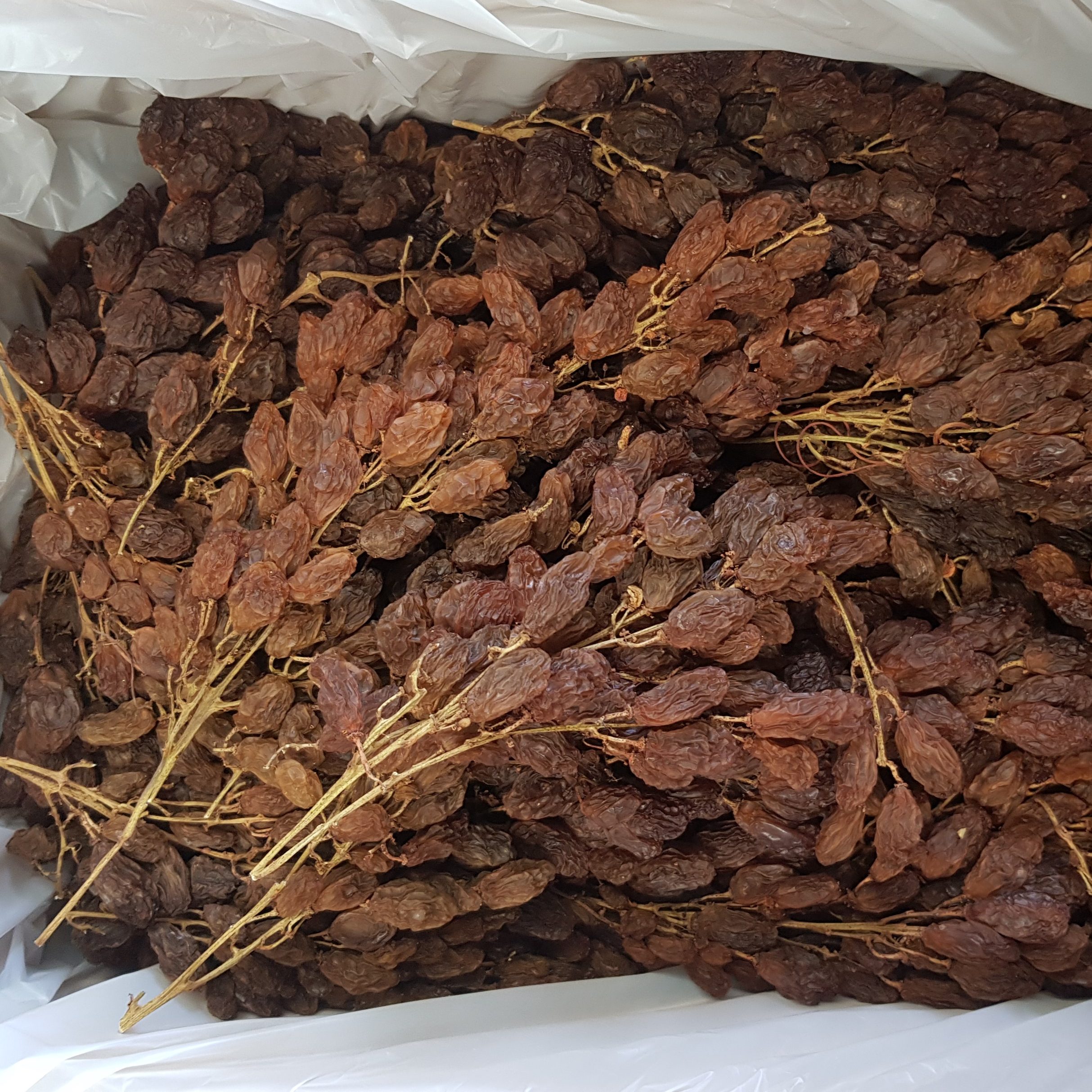 Grapes - Dried Muscatel - Biviano Direct