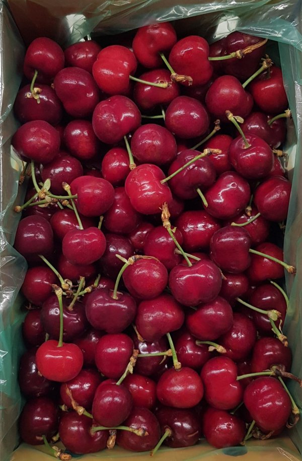 Cherries 30mm+ 5kg Box