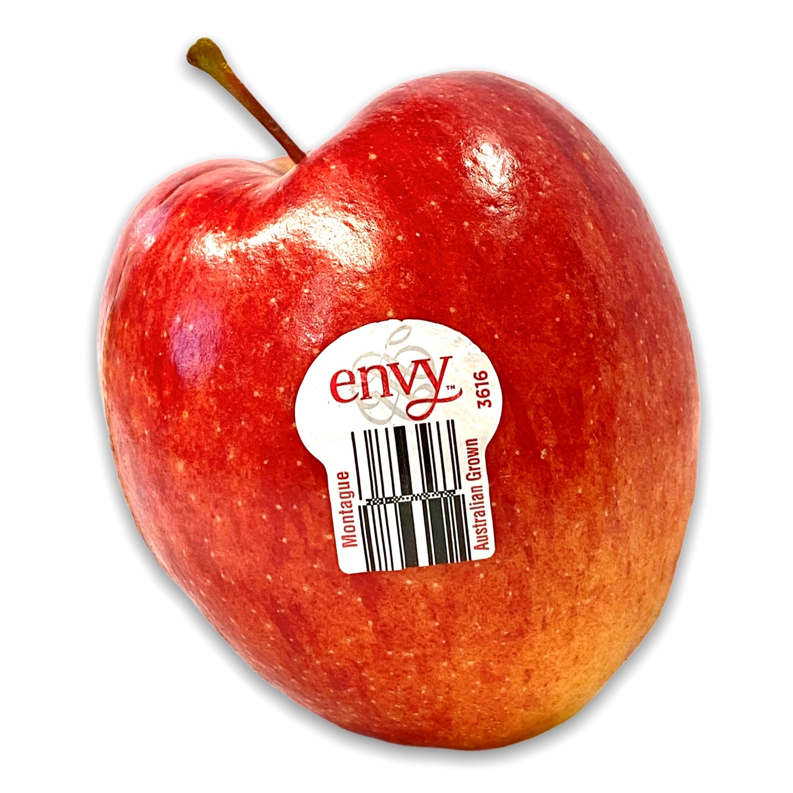 Apples Envy **NEW SEASON** Biviano Direct