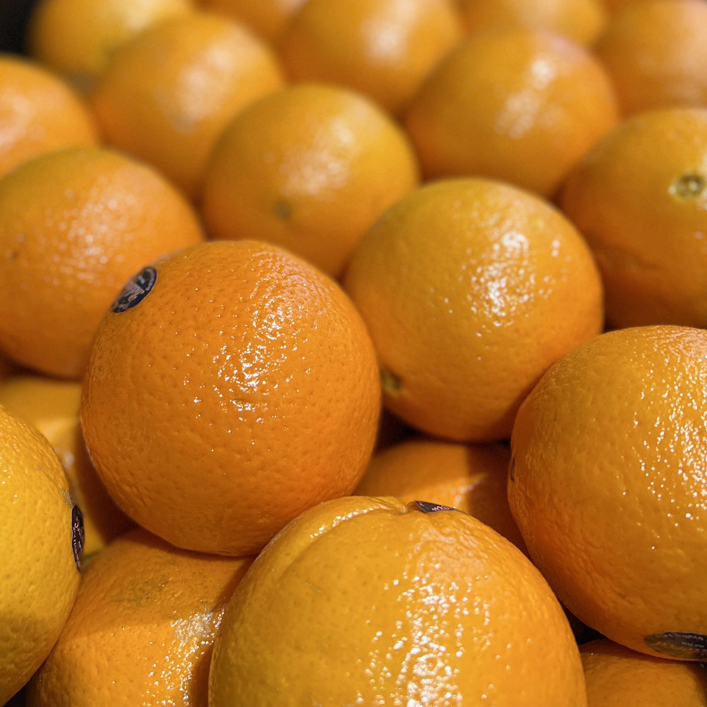 Oranges Cara Cara Per Kg