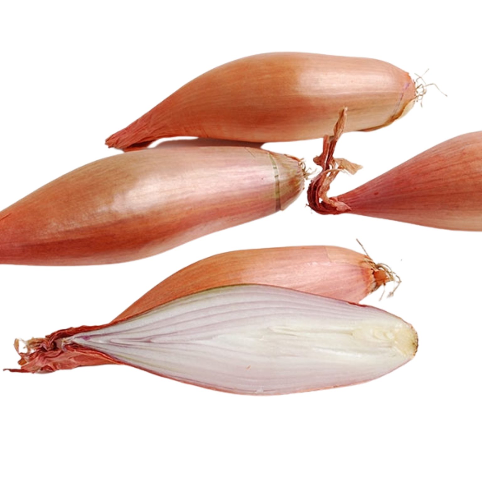 Biviano Direct Shallots/Eschallots Banana "long" (French Shallot)