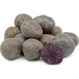 Potato purple congo