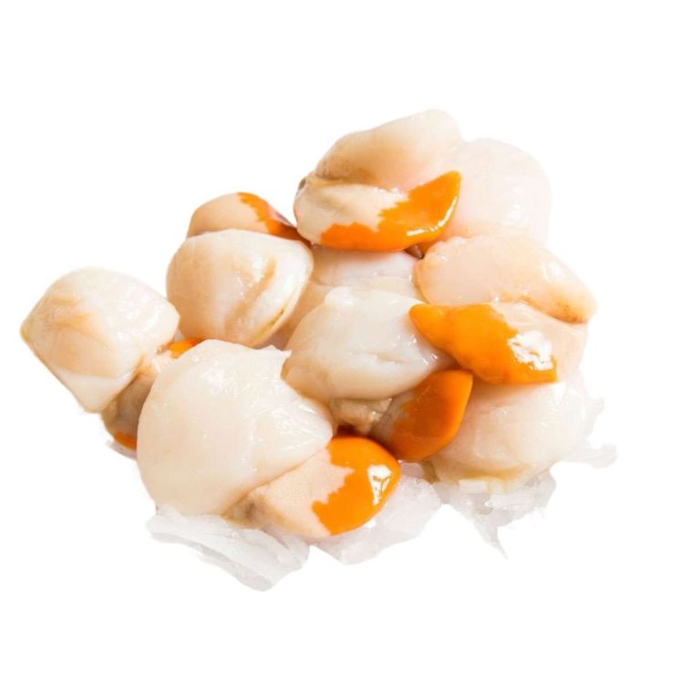 FRESH FISH Scallops from Bass Strait. Snap Frozen Biviano Direct