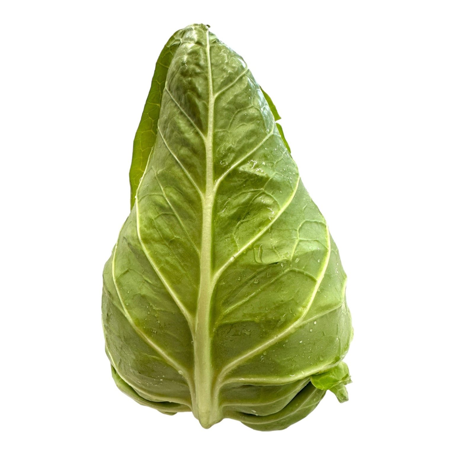 Biviano Direct Cabbage Baby Sugarloaf Each biviano-direct-cabbage-baby-sugarloaf-each