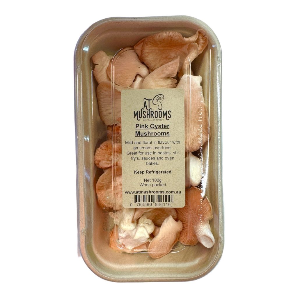 Mushrooms Pink Oyster 100g Packet Biviano Direct