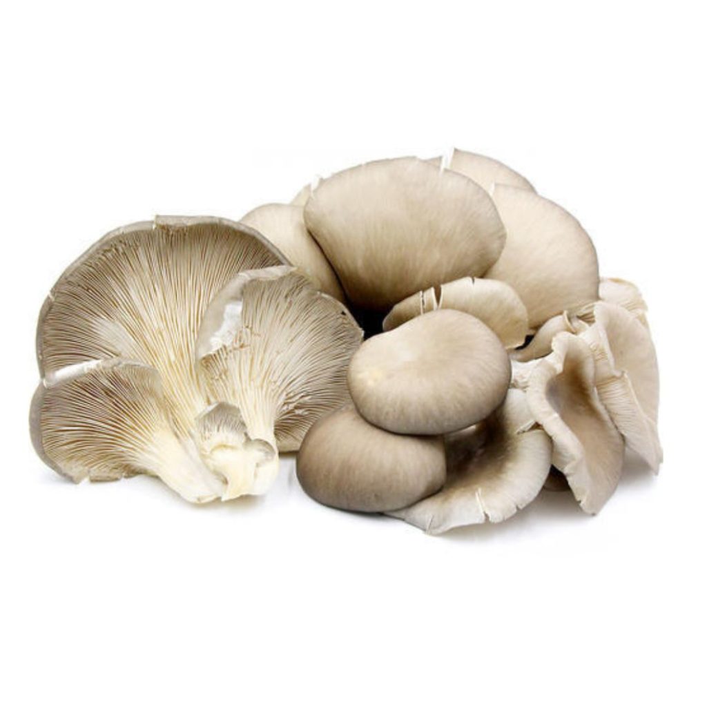 Mushrooms Oyster White | 150g Packet - Biviano Direct