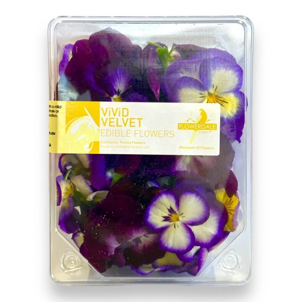 Edible Flowers - Pansy Vivid Velvet by Flowerdale Farm - Biviano Direct