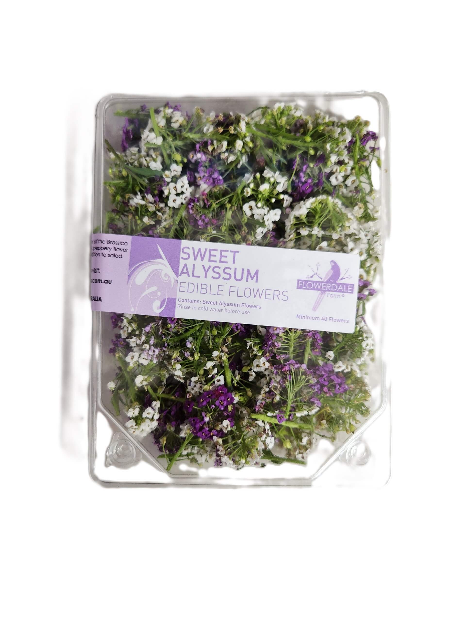 Edible flowers sweet alyssum
