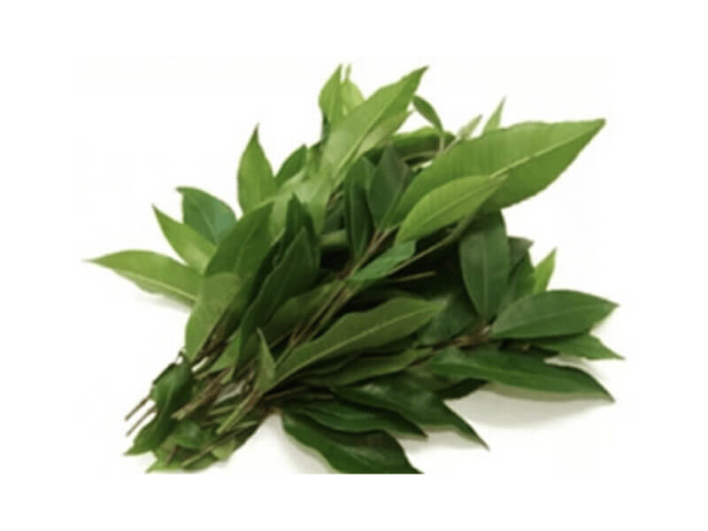 Lemon Myrtle PUNNET
