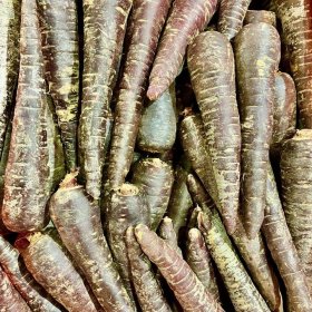 gippsland purple carrots