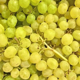 victorian natural sultana grapes