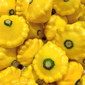 yellow squash